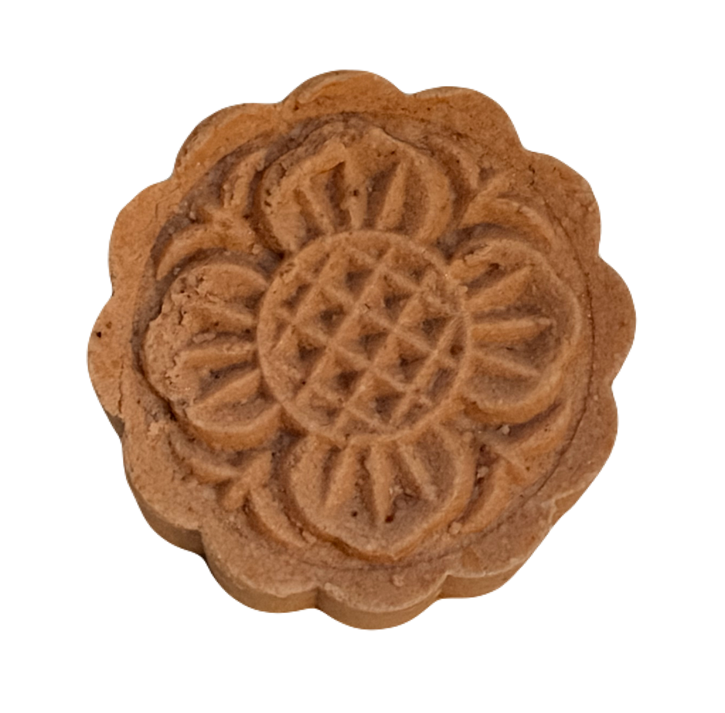 Aromatherapy Shower Steamers